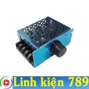 Bộ điều khiển động cơ PWM 9-55VDC 12V 24V 36V 48V 40A